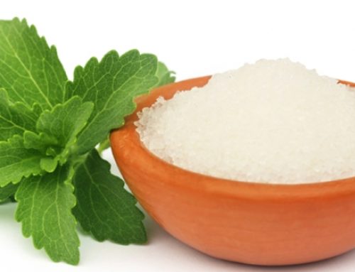 Ladang ‘stevia’ terbesar ganti gula